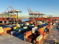 South Africa's Agricultural Exports Reach Unprecedented Highs in 2025