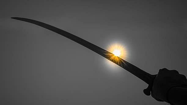 Bhopal Officials Arrested After Violent Dog Dispute - Bhopal News: Dog Lover, Aide Arrested For Attacking Woman With Sword