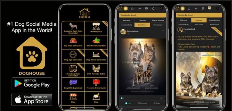DogHouse Unveils Safe Marketplace for Puppy Seekers - DogHouse Launches Verified Breeder Marketplace To Help Families Find Puppies More Safely