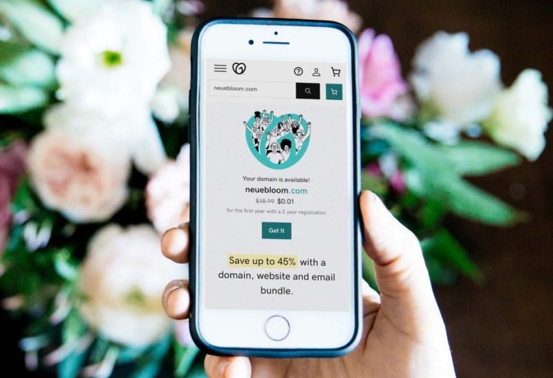 GoDaddy Shares Plummet Amidst Dismal Revenue Forecast - GoDaddy Shares Fall On Weak Revenue Outlook