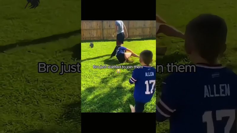 Playful Family Wrestling Match Goes Hilariously Awry - He Didn't Have To Do Bro Like That 😭 #funny