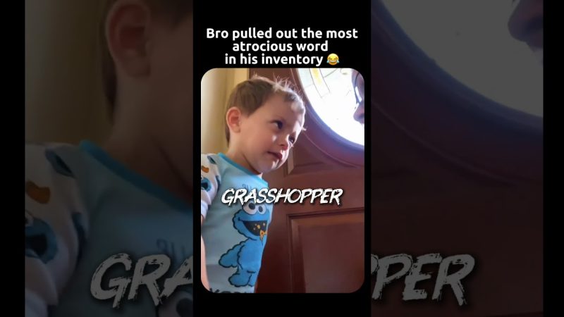 Humor Takes Center Stage as Wordplay Trends Online - He Just Figured Out This Word 😂 #funny #hopecore #hopelesscore #comedy