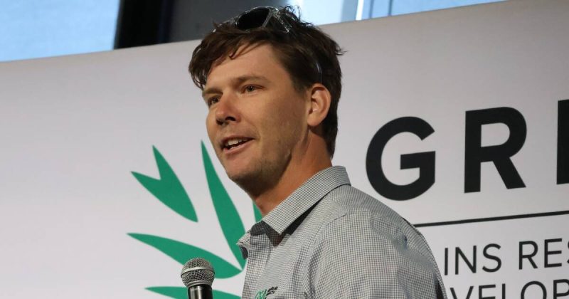 Maximizing Nitrogen Efficiency for Improved Crop Yields - High Seeding Rates And Amelioration Can Maximise Yields In The Mid West