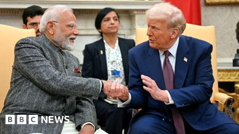 Trade Negotiations Between India and US Postponed Amid Tariff Ruling - India And US Defer Trade Talks After Supreme Court's Tariff Ruling