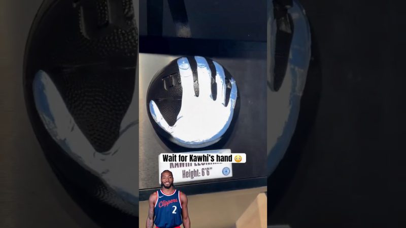 Fan Compares Hand Sizes of NBA Stars in Viral Moment - Kawhi’s Hand Compared To Everyone Else 😭 (via Kya0ki/IG)