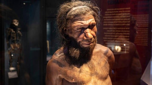 Neanderthal Men and Human Women: A Surprising Interbreeding Trend