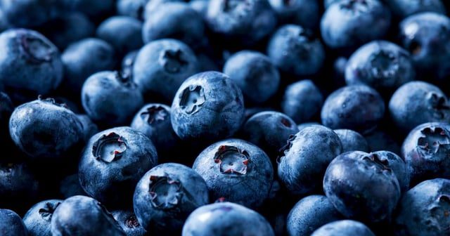 Massive Blueberry Recall Issued Due to Listeria Concerns - Over 55,000 Pounds Of Blueberries Recalled For Risk Of Potentially Fatal Listeria Contamination