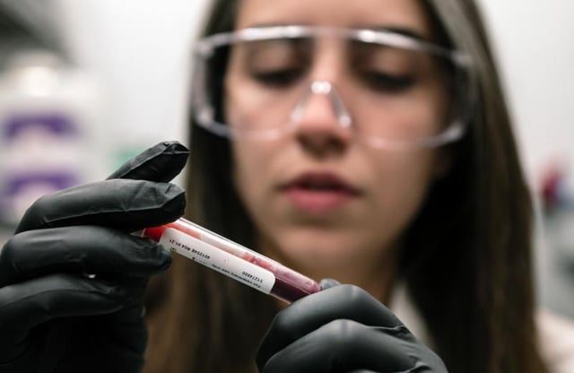 Study Reveals How Red Blood Cells Combat Diabetes at High Altitude