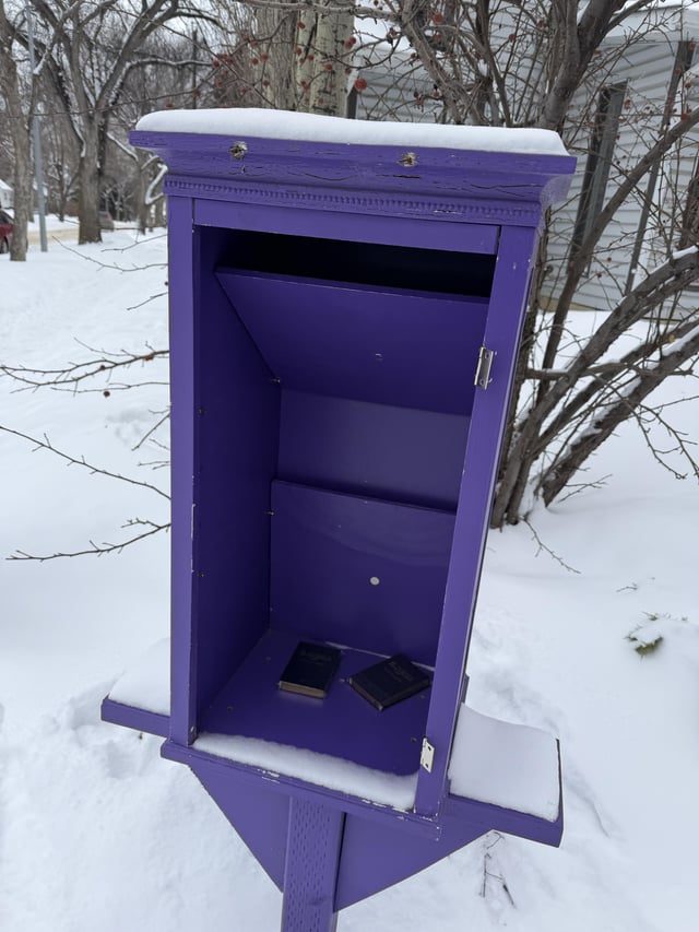 Local Little Free Library Vandalized, Books Stolen - Someone Ripped The Door Off My Local Little Free Library, Took All The Books, Broke The Shelves, And Left Two Copies Of The Bible.