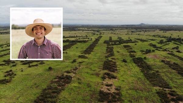 Brigalow Retention: A Boost for Cattle Production - The 20-30pc Rule: Why Keeping More Brigalow Increases Production In Pastures