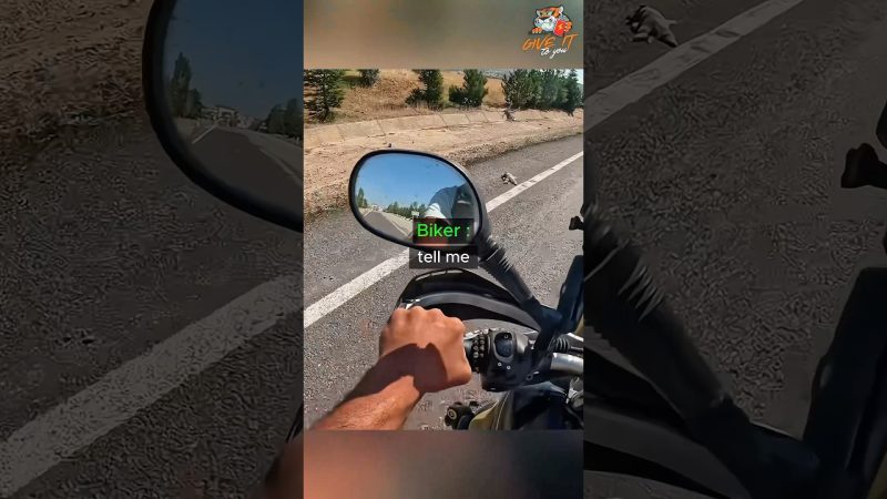 Biker Rescues Abandoned Puppy, Sparks Heartwarming Journey - A Biker Changes An Abandoned Dog's Life š