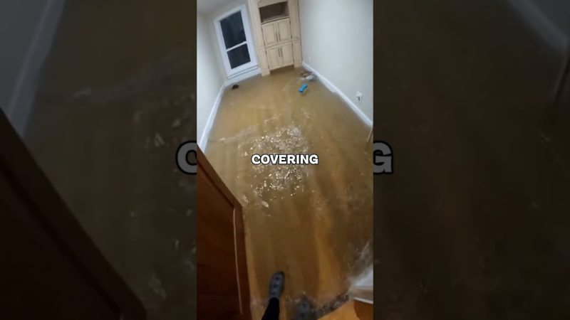 Daring Rescue: Family Saves Puppy Amid Flooding Chaos - Floodwater Was Pouring Into Our House⦠Then We Realized The Puppy Was Missing