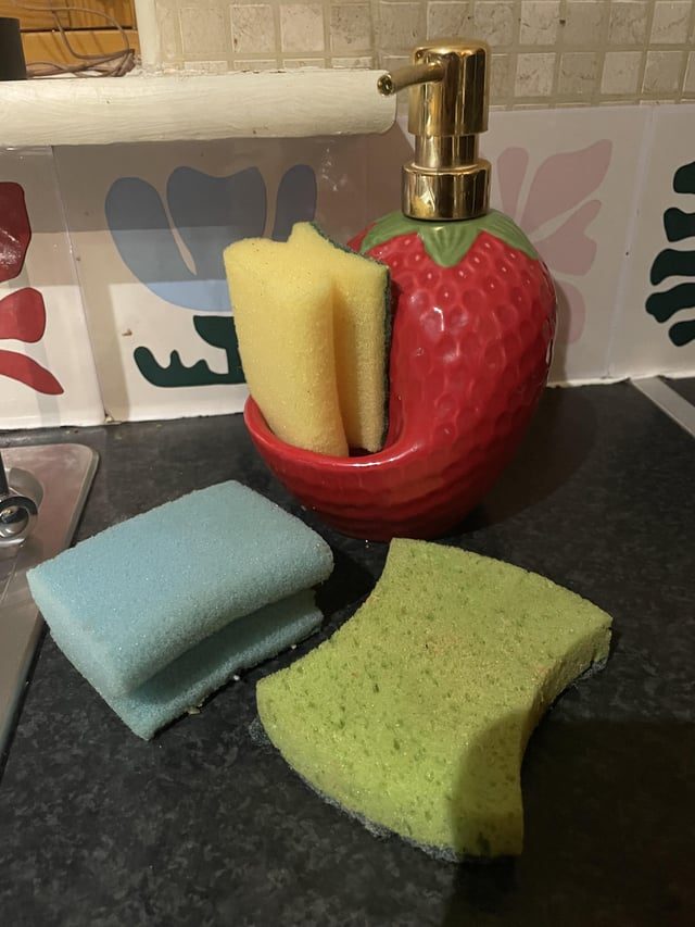 Household Dilemma: Husband's Frequent Sponge Changes Spark Debate - Husband Opens A New Sponge Every 3 Days Cause “they Become Gross”