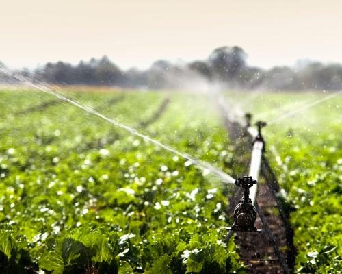 Urgent Call for Investment in Global Food Systems - Investment In Food Systems Should Be A Priority