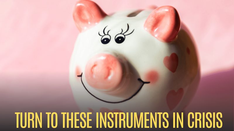 Navigating Cash Crunches: Leveraging PPF, NSC, ELSS, and Insurance - Know How PPF, NSC, ELSS And Insurance Policies Can Help Times Of In Cash Crunch