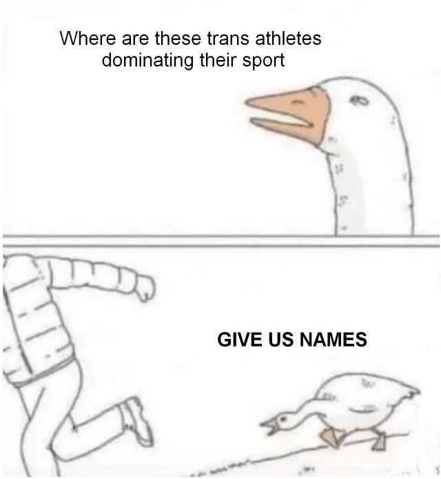 Viral Meme 'Me IRL' Captures Authentic Life Moments