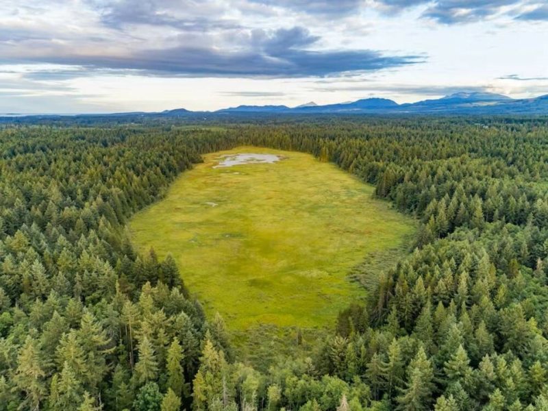 Nanaimo Regional District Secures Funding for Marshland Purchase - Nanaimo Regional District Gets Help From Province, Local Groups To Buy Marshland