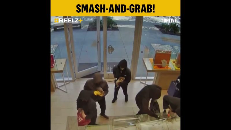 Daylight Jewelry Heist in San Ramon Shakes Community - Nearly 25 Suspects Storm Jewelry Store In Broad Daylight