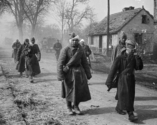 Ukrainian-Russian Photojournalist Safeguards WWII Negatives - ‘Negatives Are Photographic Truths’: The Collector Who Fled Russia With A Haul Of Second World War Images