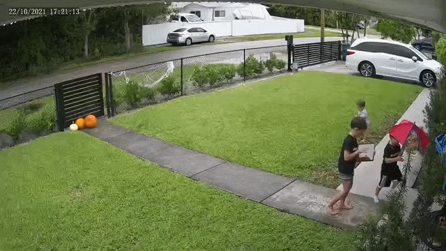 The Alarming Speed at Which Toddlers Can Vanish - This Is How Quick A Toddler Can Disappear From Sight, In Just A Few Seconds!