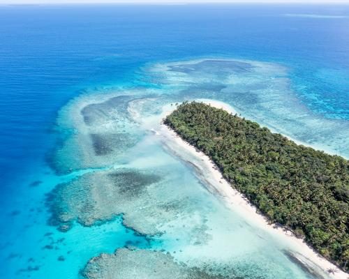 Tonga's Prime Minister Embraces US Partnership on Ocean Exploration - Tonga PM Welcomes US Deal To Explore Deep-sea Minerals Amid Environmental Concerns