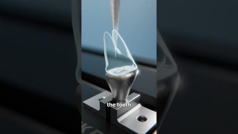 Military Dogs and Dental Care: What's at Stake? - What Happens When A Military Dog Breaks A Tooth 🤔