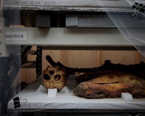 Investigating the Collection of Human Remains in UK Museums - Which Human Remains Are Held In UK Museums – And Where?