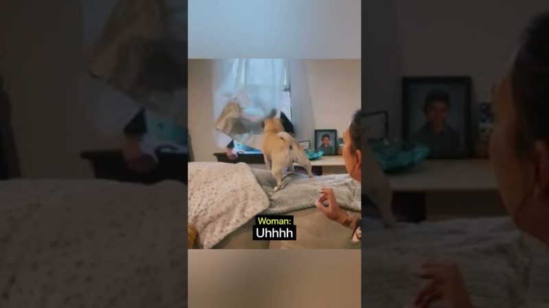 Fearless Woman Confronts Home Intruder with Courage - Woman Is Not Scared Of Intruder