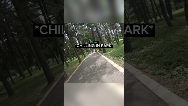 Heroic Biker Rescues Dog from Wild Canine Attack - Biker Saves Dog From Wild Dog's...