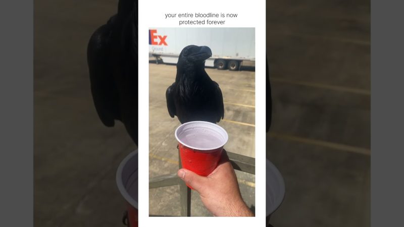 Innovative App Promises Lifelong Friend Recognition - Bro Is Downloading Your Face So That He’ll Remember You’re Friend For Life