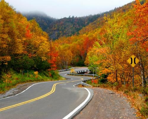 Veteran Challenges Nova Scotia's Woods Ban in Court - Canadian Man Who Hiked In Woods In Defiance Of Ban Has Case Heard In Court