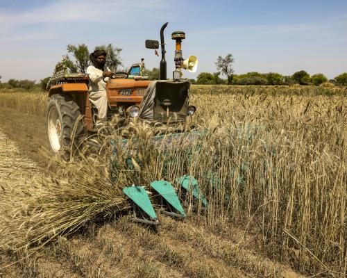 Gulf Fertiliser Blockade Sparks Global Food Security Crisis - ‘Food Security Timebomb’: A Visual Guide To The Gulf Fertiliser Blockade