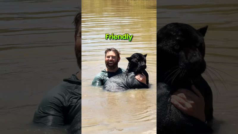 Assessing the Impact of New Trade Policies on Relations - Friendly Or Not Friendly?