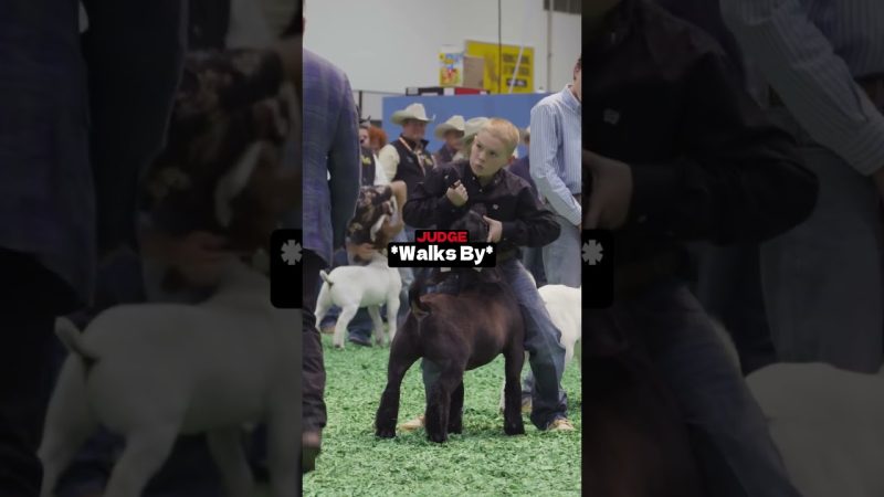 Rodeo Houston's Star Performer Exudes Confidence at Event - He Was So Confident😬(@rodeohouston)