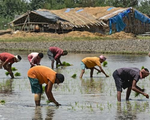 Farmers in Punjab Fear Food Crisis Amid Fertilizer Shortages - ‘India Is Going To Face A Food Crisis’: Farmers Panic Over Fertiliser Shortages Amid Iran War 