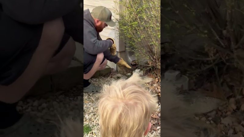 Viral Video Platform Showcases Talented Creators - Just Wait For It… 😂