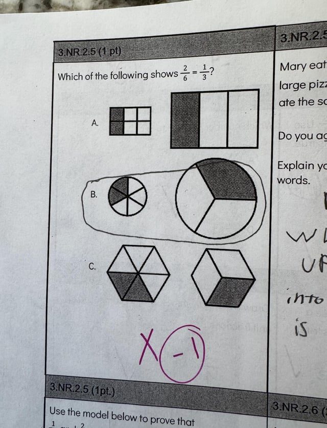 Homework Debate Sparks Outrage Over Grading Standards - My Niece’s Homework Problem