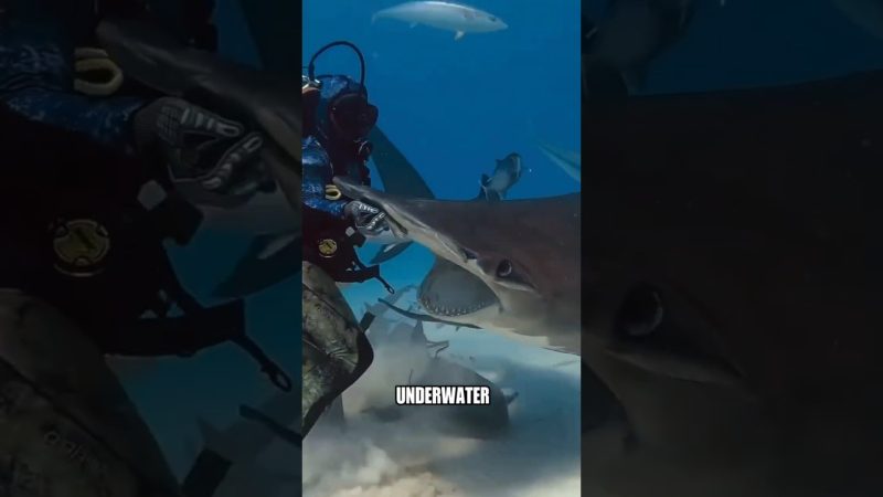 Avoid These Dangerous Mistakes When Handling Animals - Never Do This With Animals (4 Deadly Mistakes)