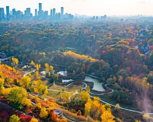 Toronto's Rosedale Faces Polarizing AI Surveillance Proposal - Row Over ‘virtual Gated Community’ AI Surveillance Plan In Toronto Neighbourhood