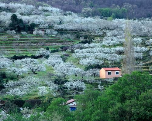 Spanish Conservatives Forge New Alliances with Vox Party - Spanish Conservatives Revive Regional Pacts With Far-right Vox Party