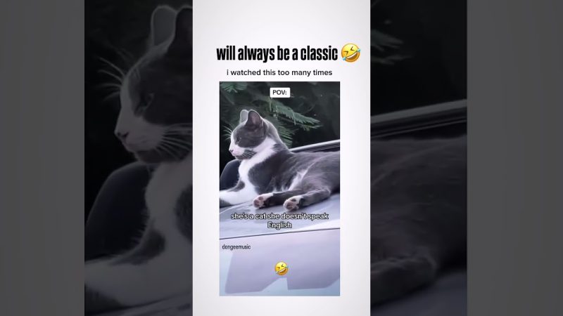 Winter Engagement Insights: Facebook Trends Unveiled - The Last Month Of ‘winter’ Posting On FB We Have Been Doing Some Testing To See What Clients Are