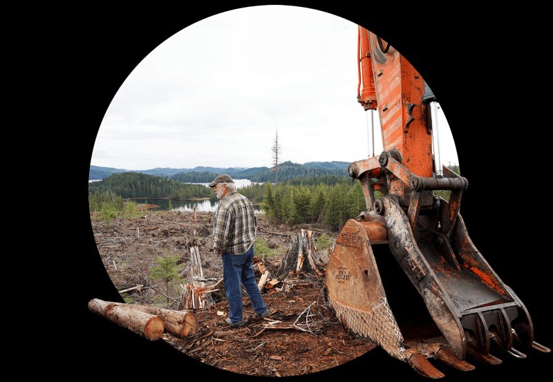 Trump Administration Proposes Logging in Eastern National Forests - The Trump Administration Wants To Take An Ax To The East’s Last Great Forests