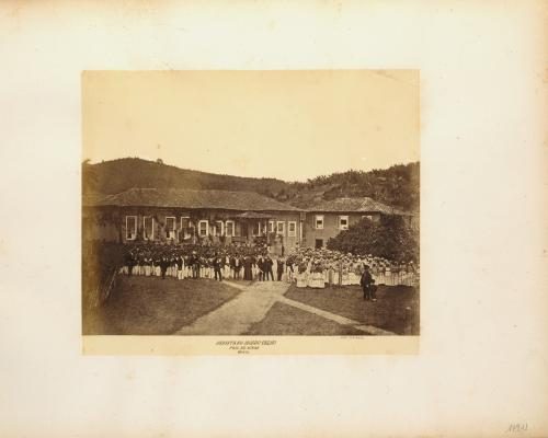 Uncovering the Profits of British Companies from Brazilian Slavery - ‘These Connections Are Overlooked’: How British Companies Profited From Slavery In Brazil Long After Abolition 