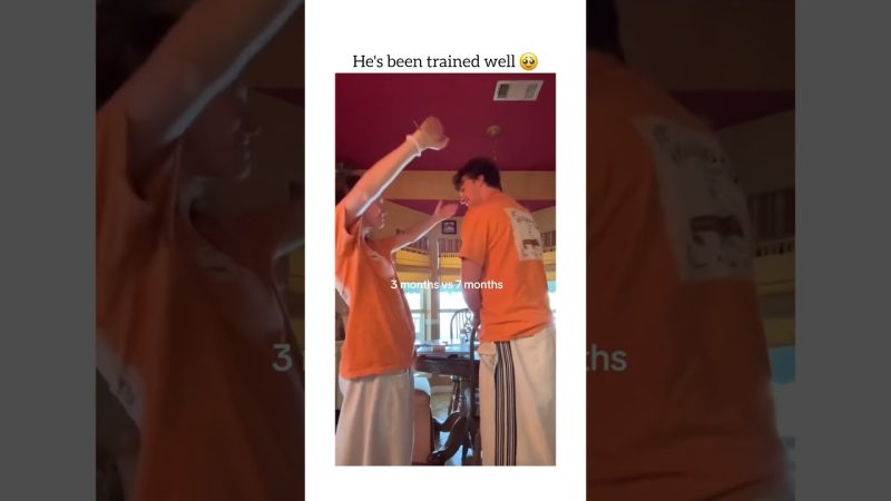 Viral TikTok Video Showcases Adorable Animal Moments - This Is So Cute 😍  Via - Lillie.martin3/tiktok