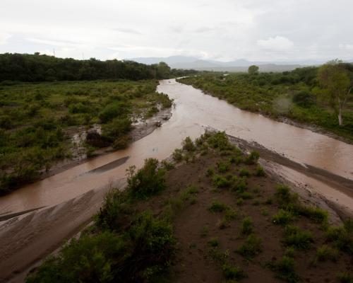 UN Expert Warns of Toxic Crisis from US Waste in Mexico - US Is ‘using Mexico As A Garbage Sink’ Leading To ‘toxic Crisis’, UN Expert Says