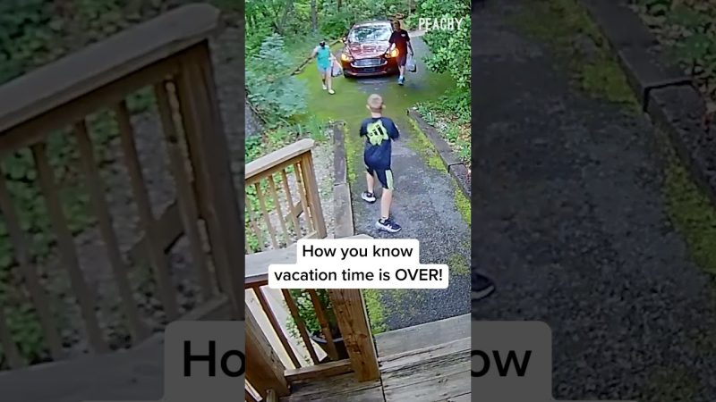 Family's Vacation Ends with Unexpected Bear Encounter - How It Feels To Go Back To Work After Vacation! 👀 #fails #CCTV #bears  #scare #shorts