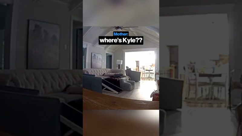 Mother Faces Nightmare Scenario After Leaving Child Alone - Mother Worst Nightmare While Home Alone..