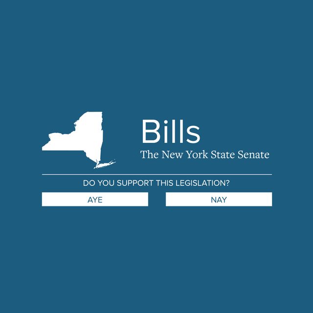 New Law in New York Targets Online Chat for Minors - The New York Childrens Online Safety Act Will Ban Anyone Under 18 From Chatting Online.