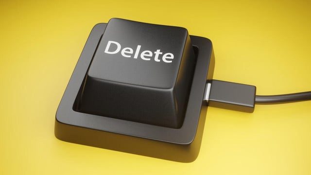 Twin Brothers Erase 96 Government Databases After Dismissal - Twin Brothers Wipe 96 Gov’t Databases Minutes After Being Fired