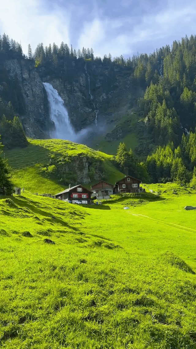 City Dwellers Consider Moving to Affordable Rural Areas - Would You Trade City Life For This?